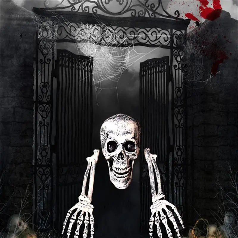 Skeleton