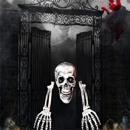 Skeleton