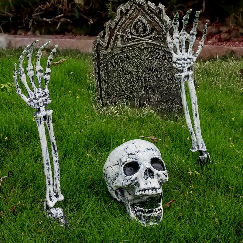 Skeleton