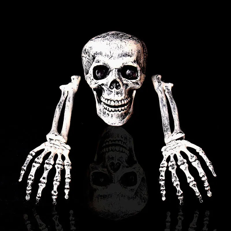 Skeleton