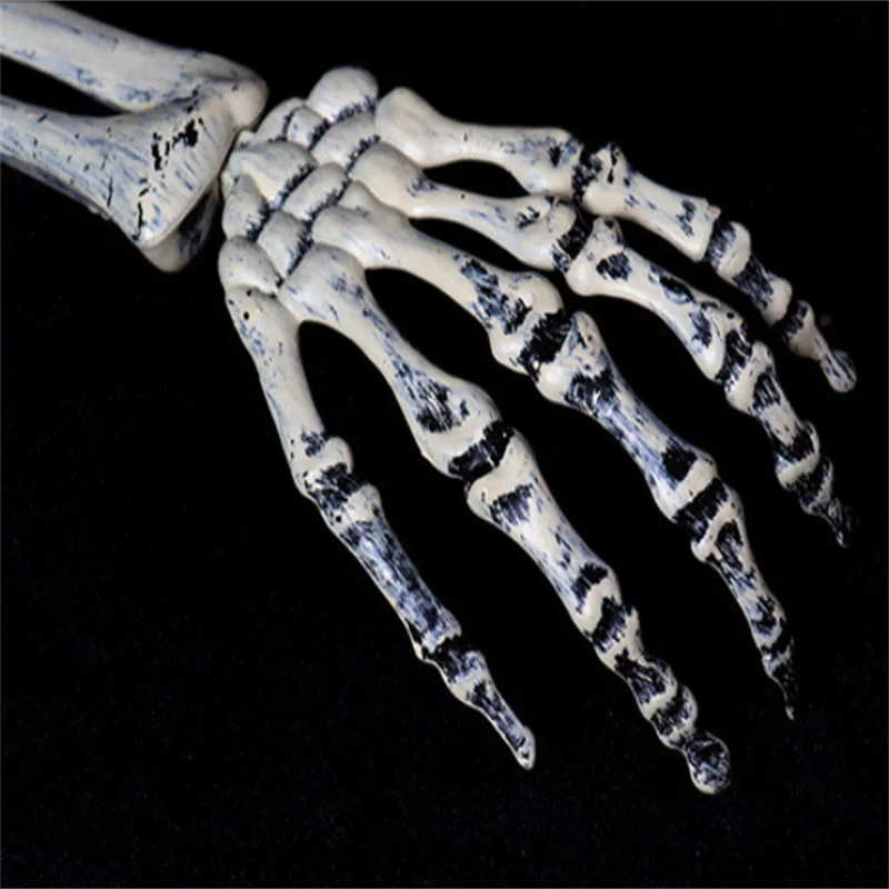 Skeleton